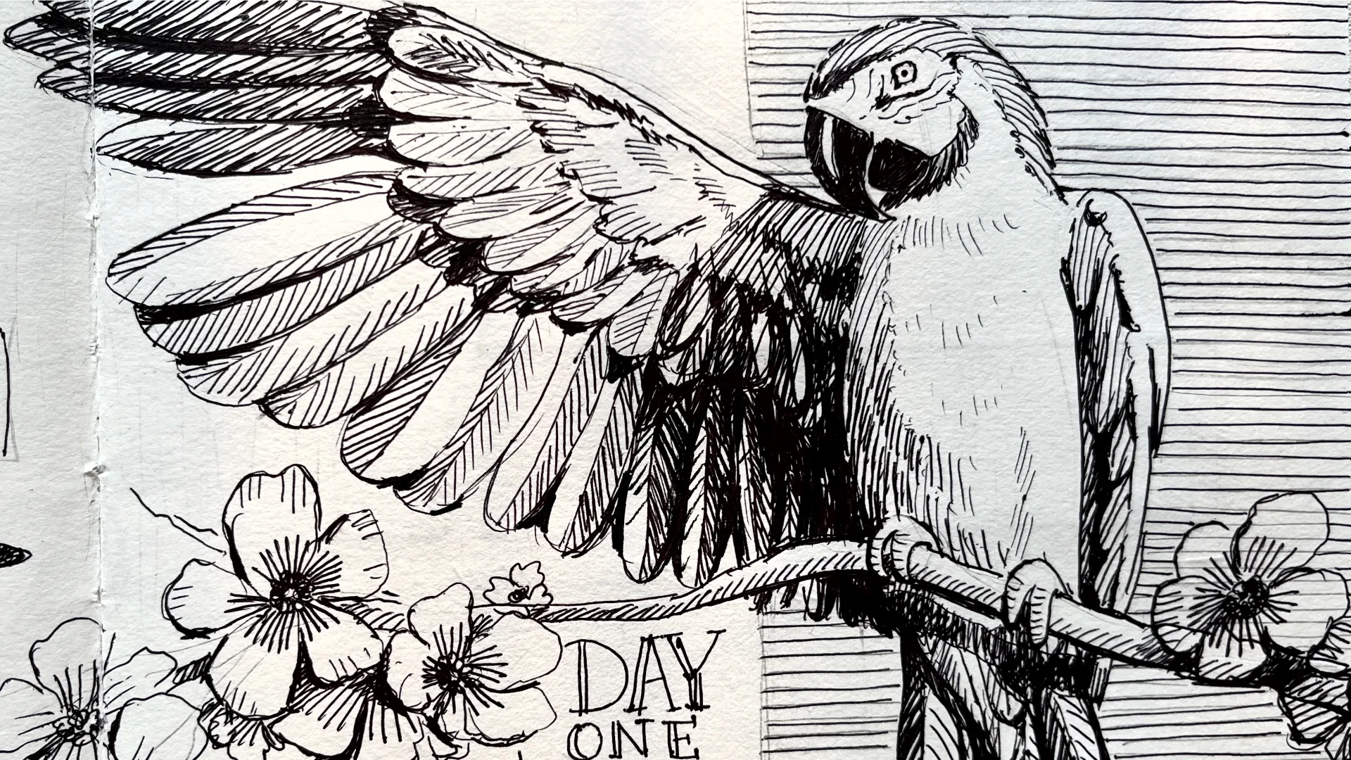 Sketching course artwork introducing what your enrolment includes