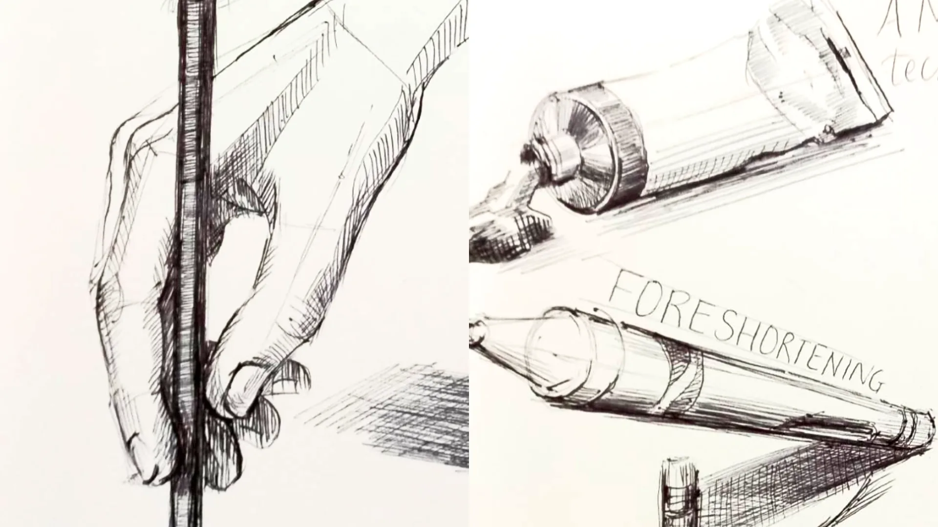 Draw Anything: 3 Easy Steps hero image