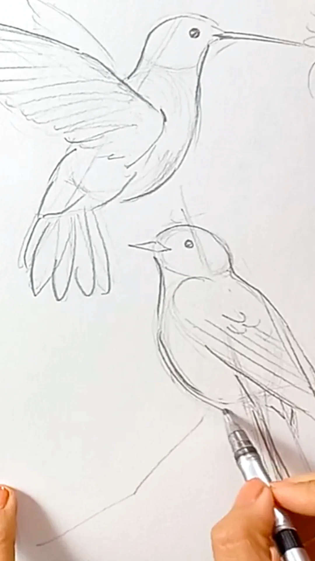 Measurement that improves placement preview