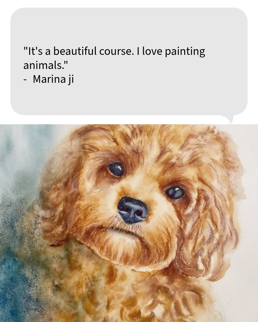 Participant review screenshot 4