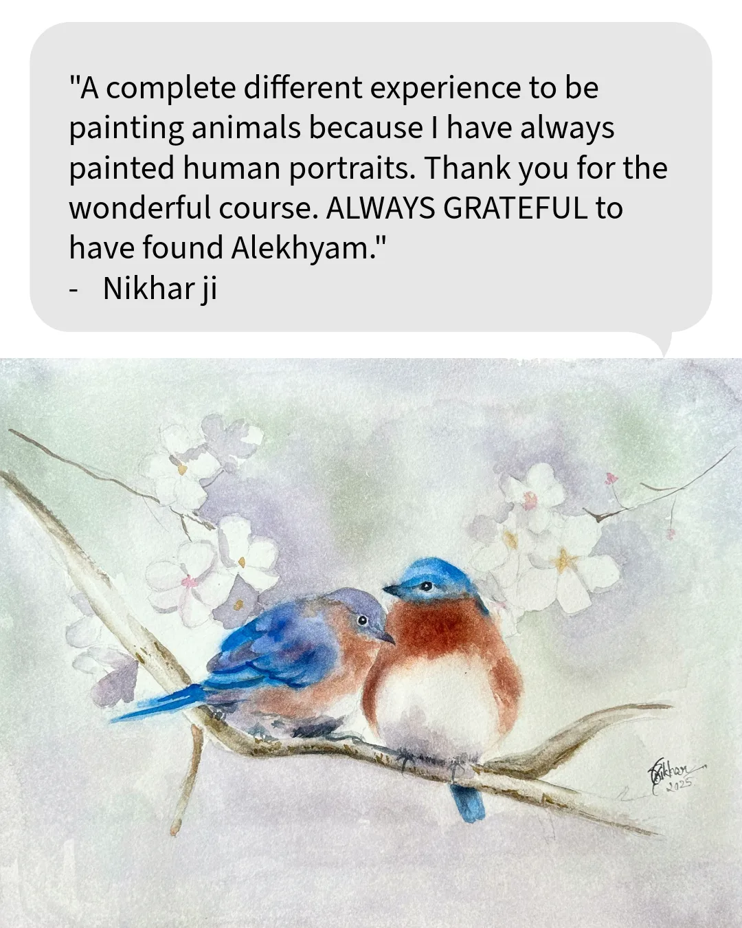 Participant review screenshot 5