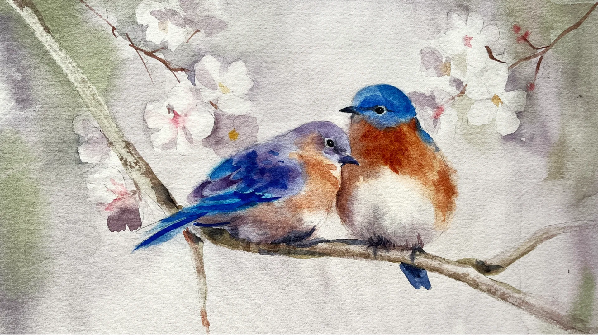 Course visual break image