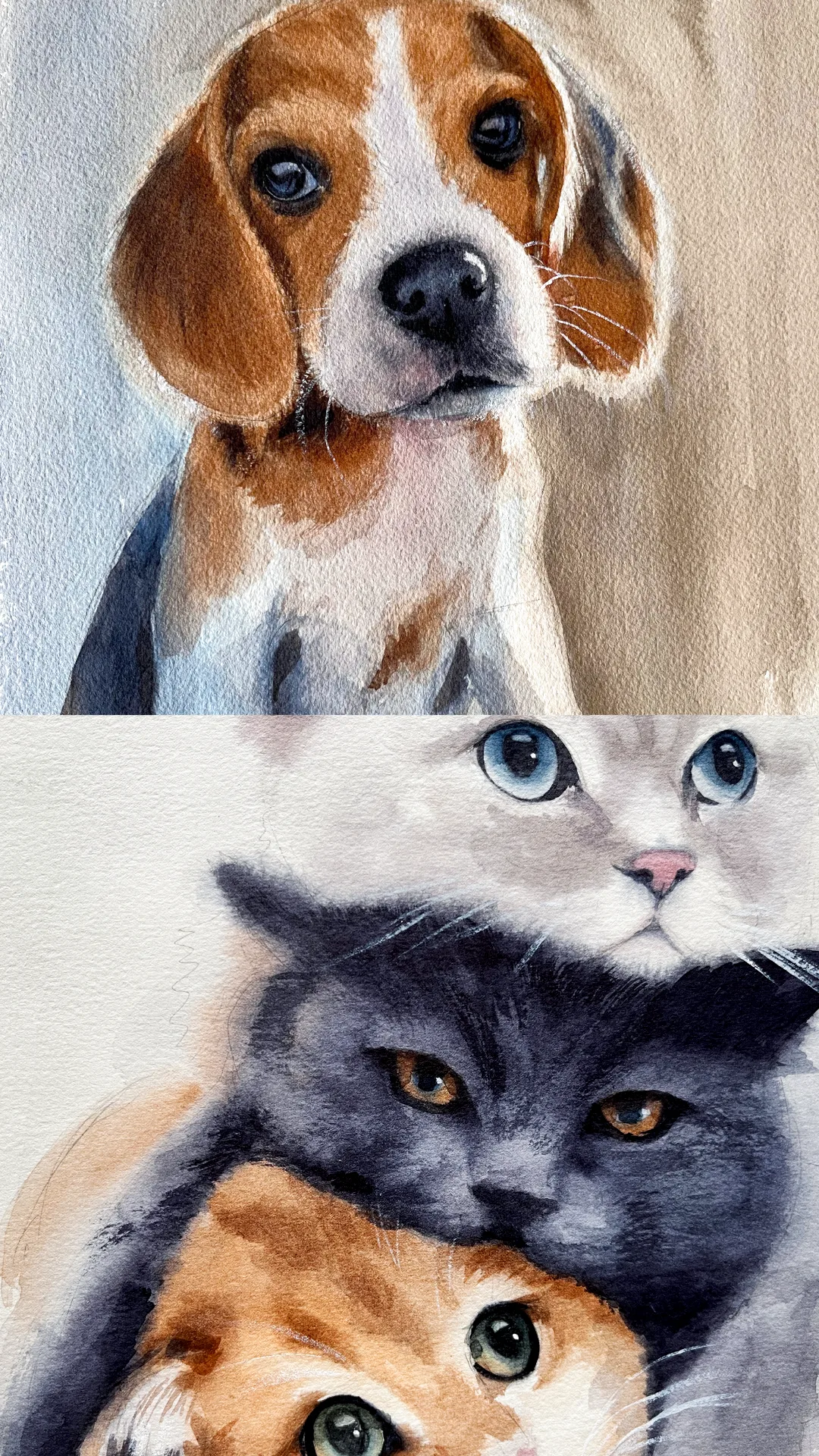 Warm-ups, colour, and observation preview