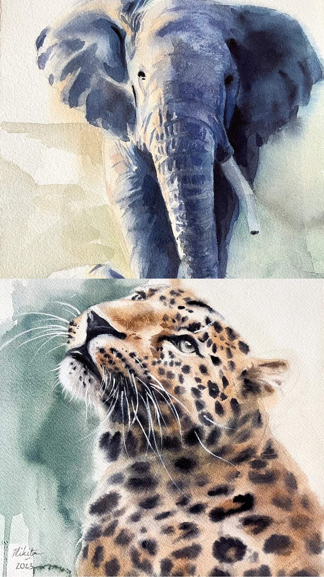 Cats, dogs, birds, and wildlife preview