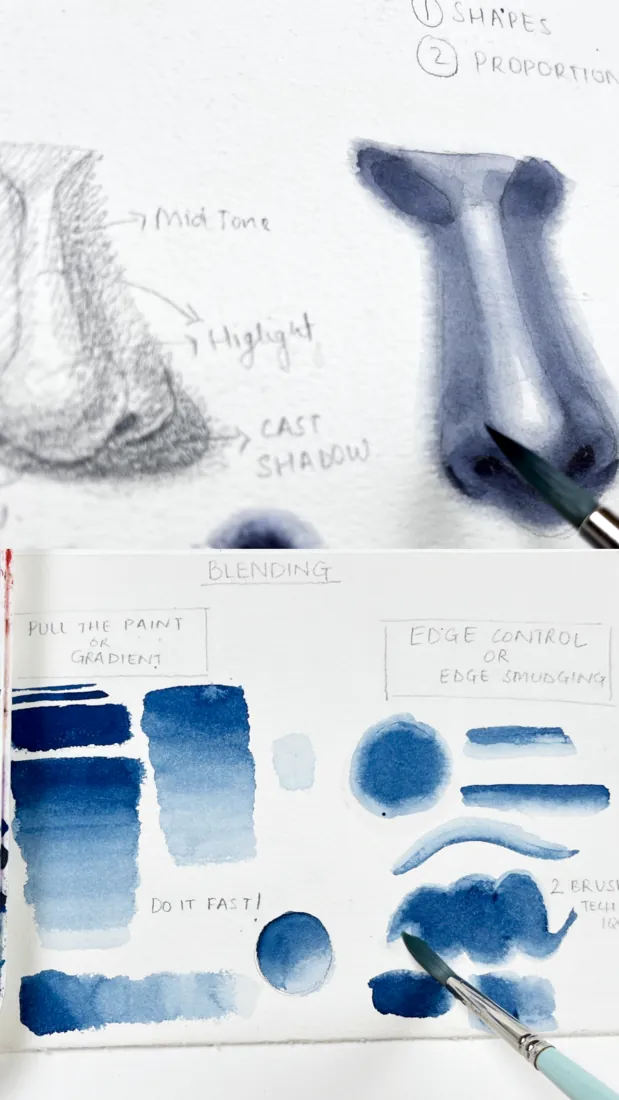A monochrome watercolour nose study with blending practice