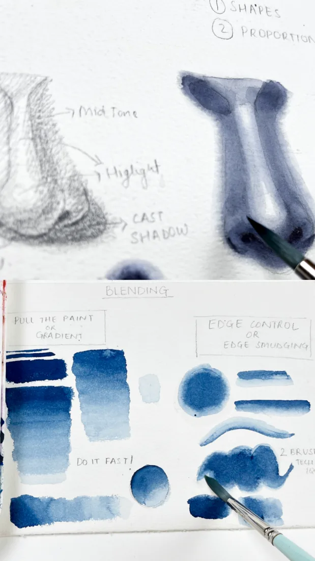 Monochrome watercolour nose studies with blending practice