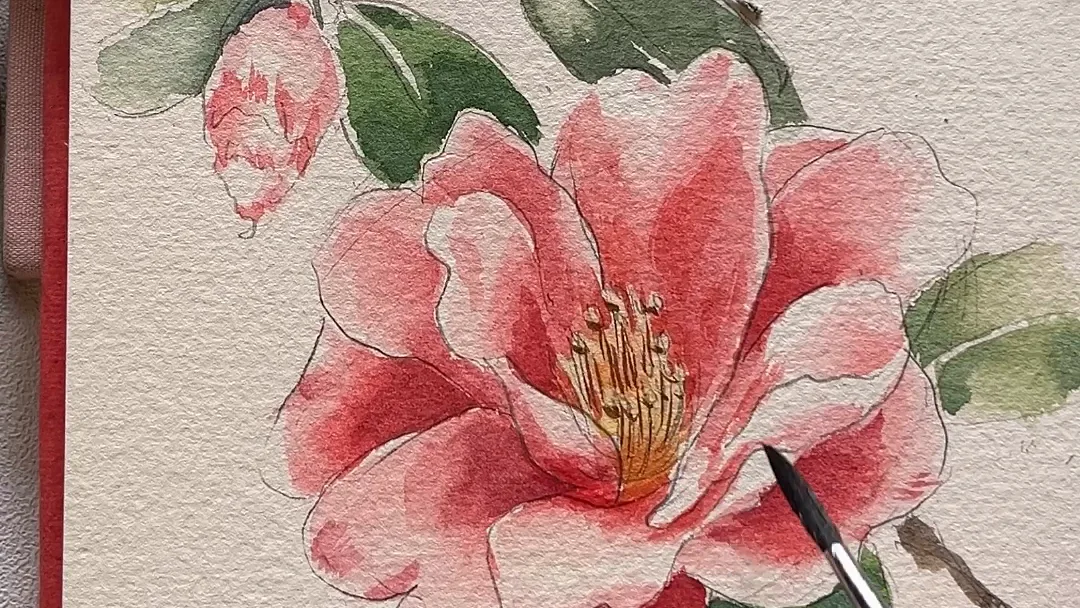 The camellia with its petals built up in layers of wash, a brush on the paper