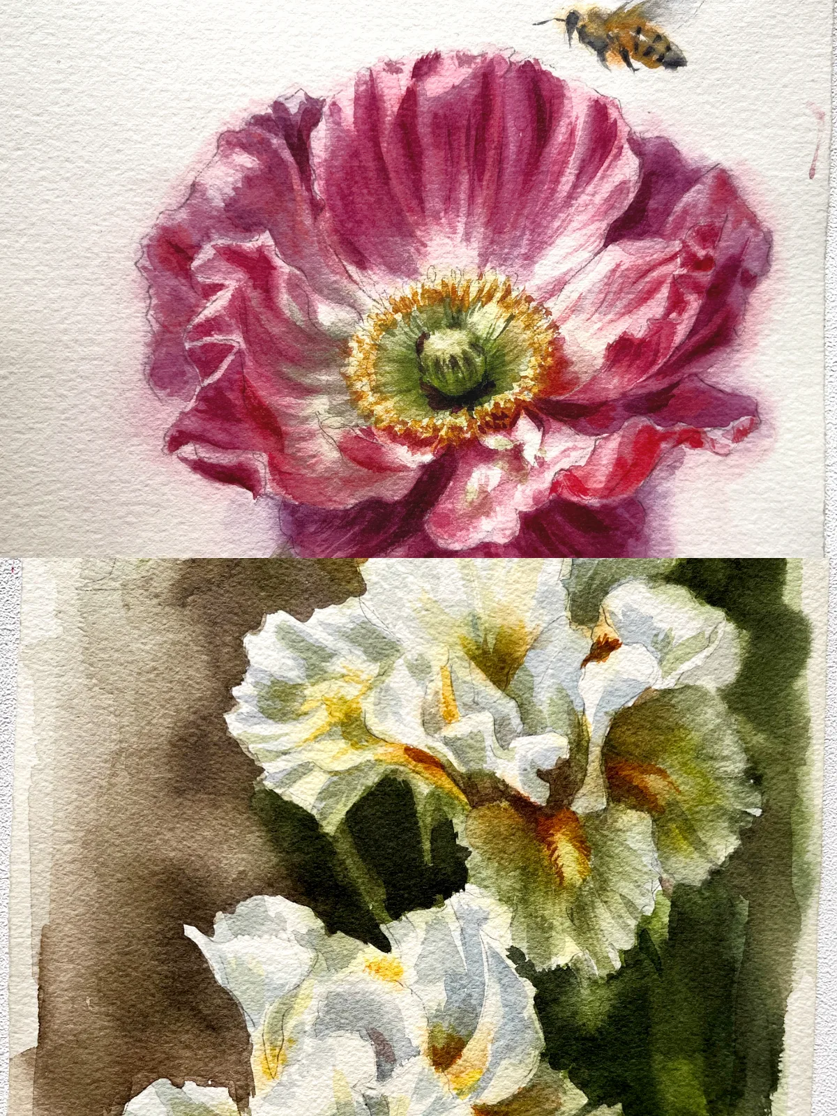 Watercolour x Florals
