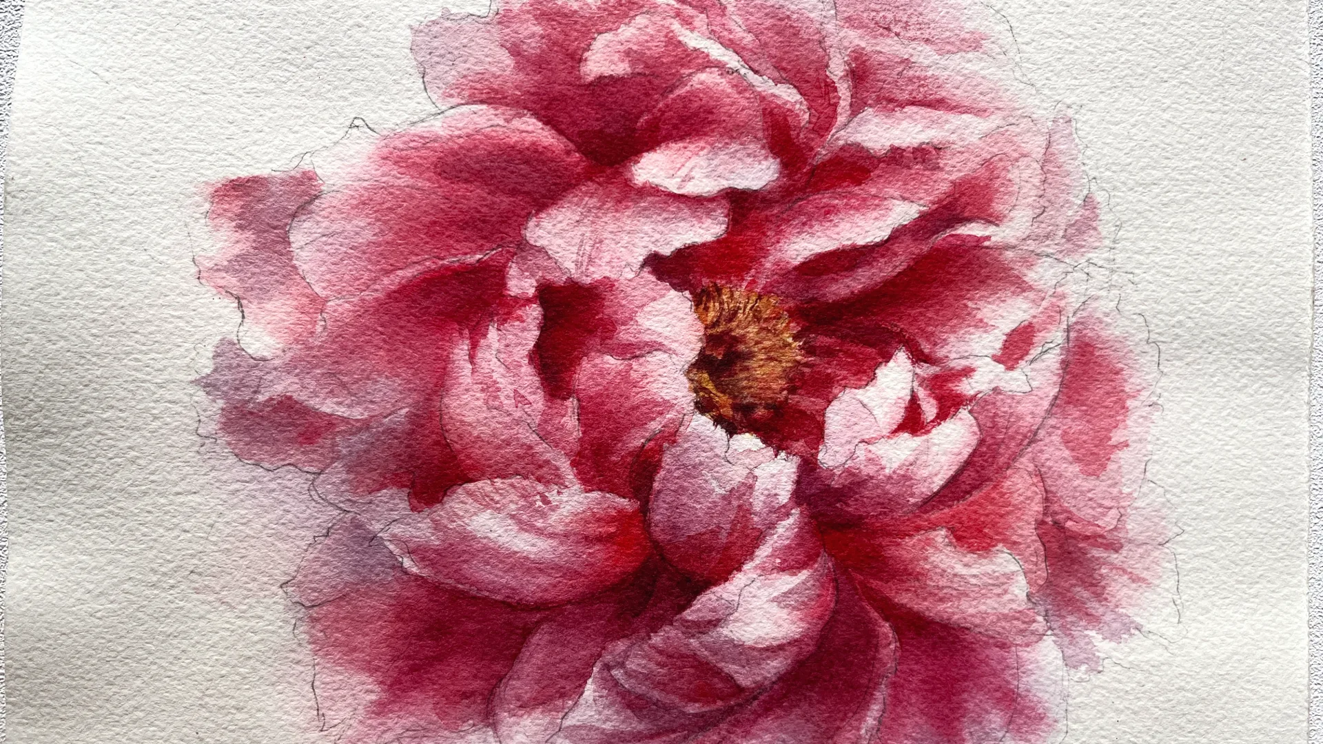 Floral watercolour studies and finished petals