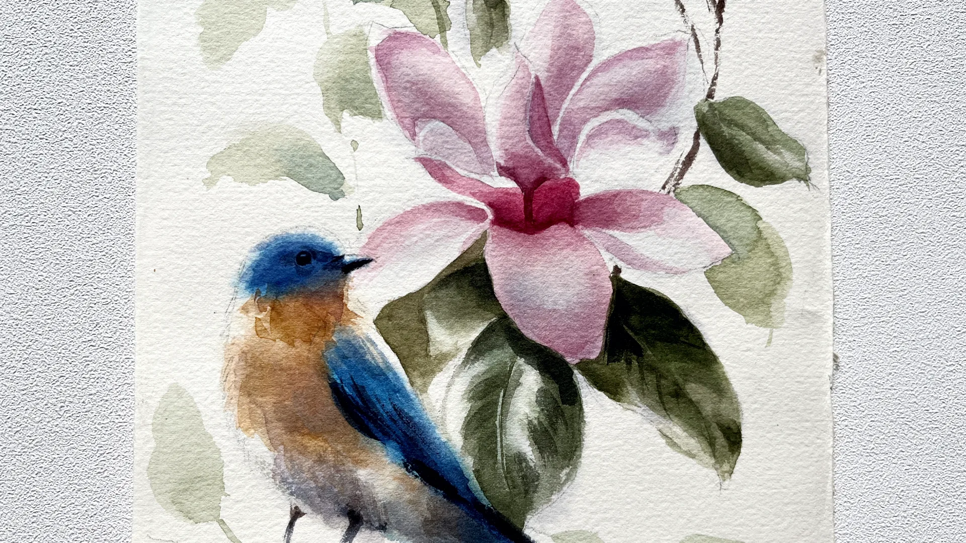 Floral colour mixing and brushwork studies