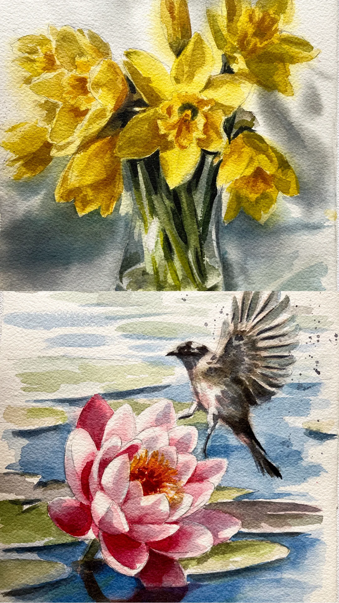 Finished floral compositions and colour harmony studies