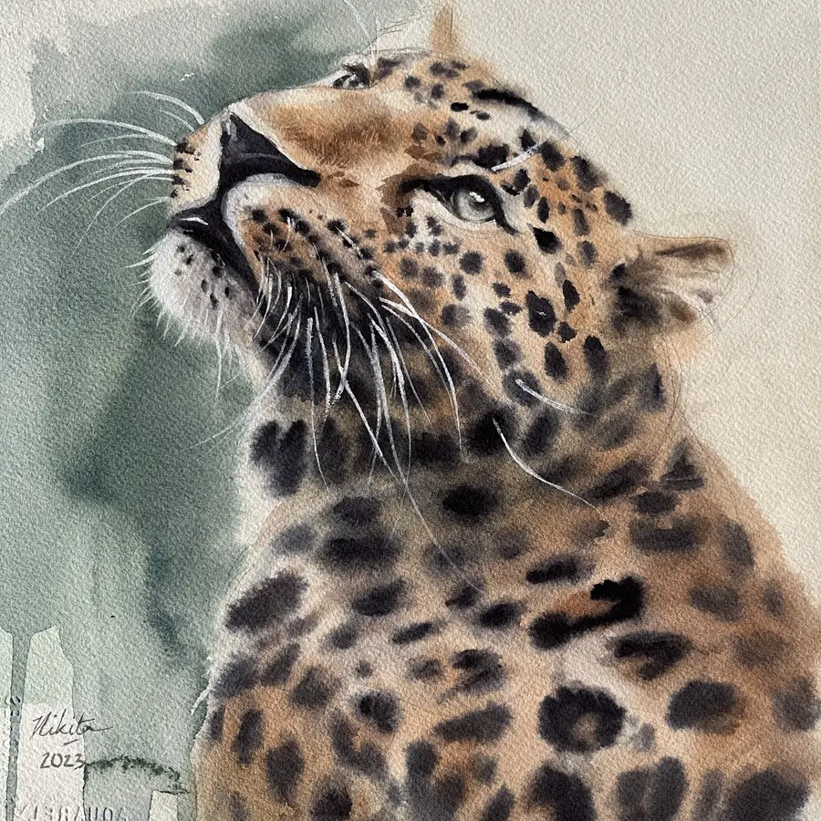 A watercolour leopard looking upward against a soft green wash