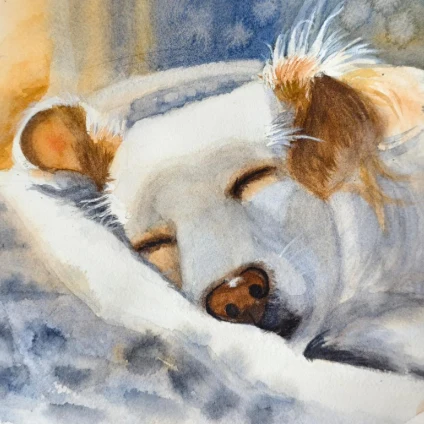 Learner artwork: a sleeping dog study