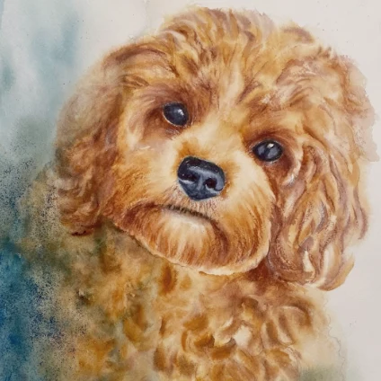 Learner artwork: a fluffy dog portrait