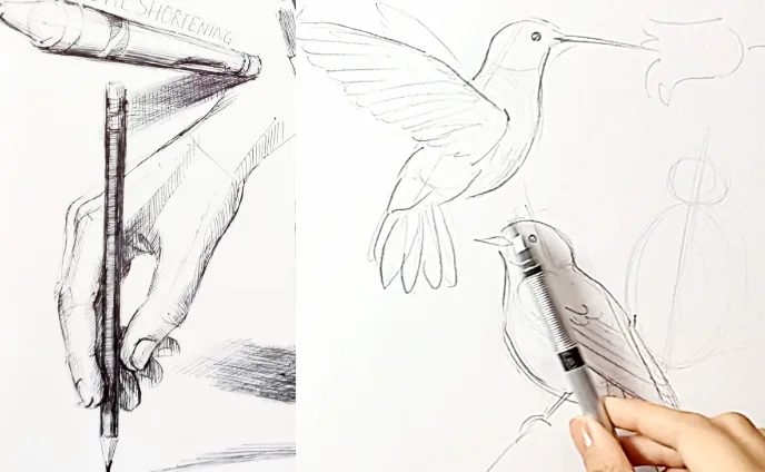 Draw Anything in 3 Easy Steps lesson thumbnail